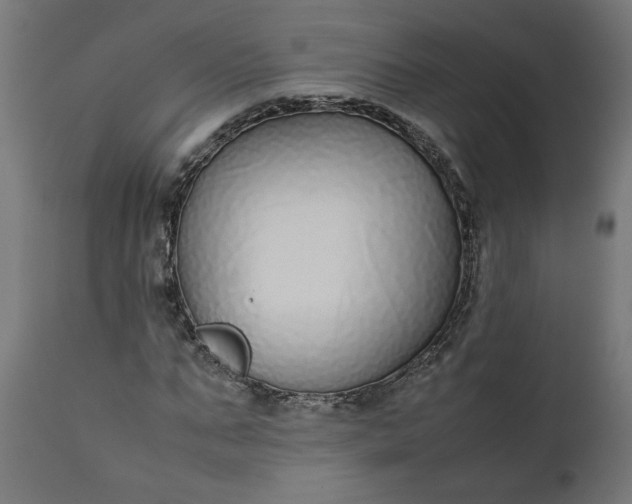 X0000111490871200907281225