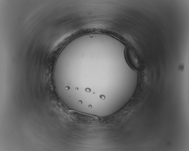 X0000111490872200907281225