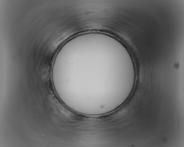 X0000111490873200907281225