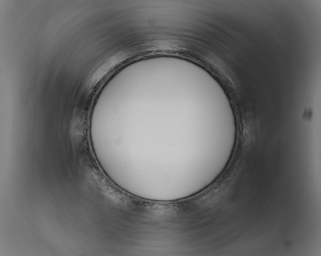 X0000111490874200907281225