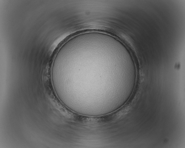 X0000111490875200907281225