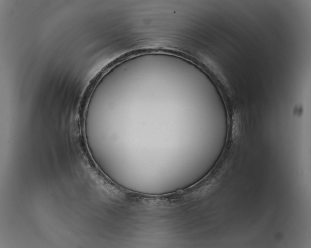 X0000111490876200907281224