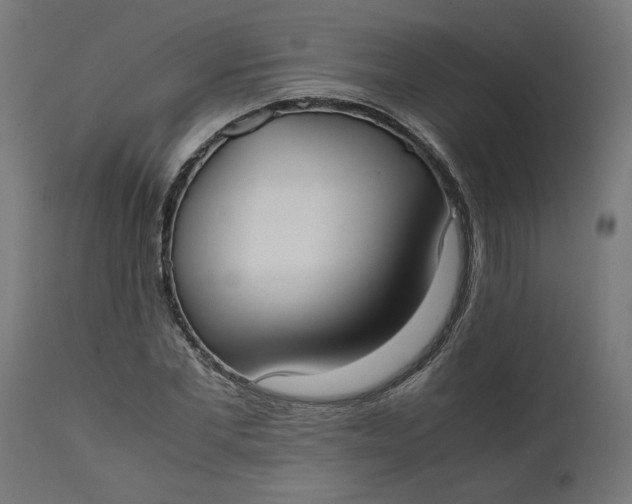 X0000111490877200907281224