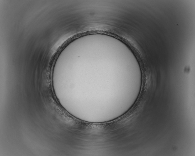 X0000111490878200907281224