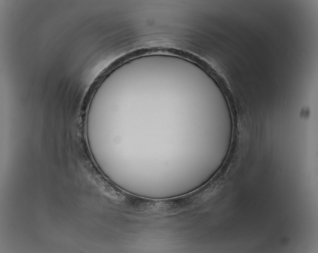 X0000111490879200907281224