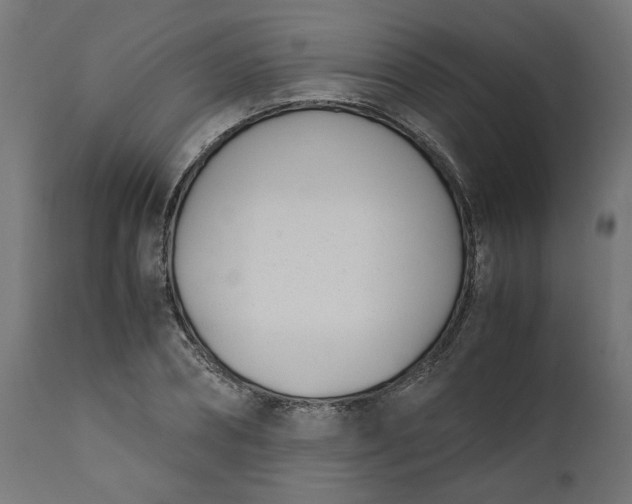 X0000111490882200907281224