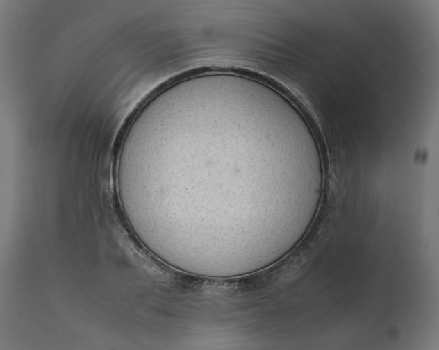 X0000111490887200907281224