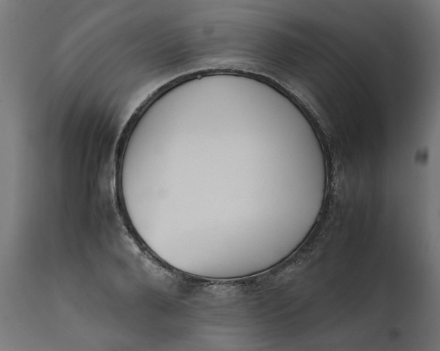 X0000111490888200907281224