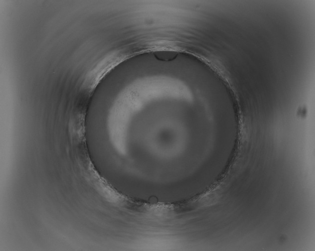 X0000111490889200907281224