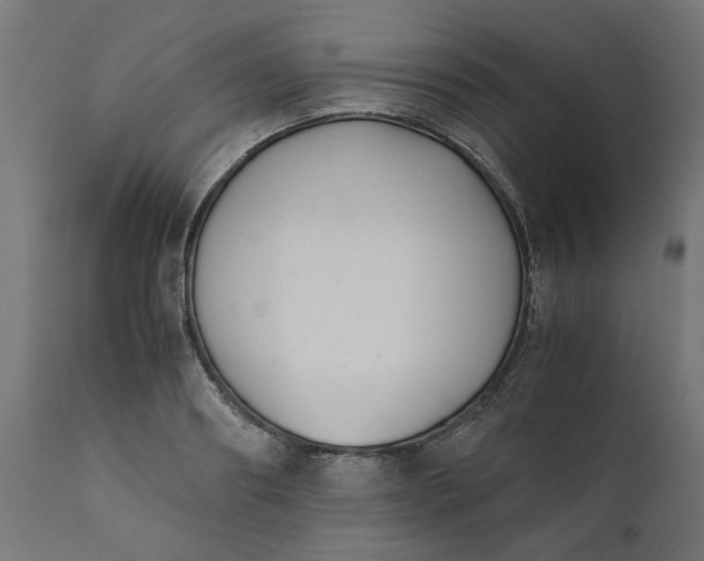 X0000111490890200907281224