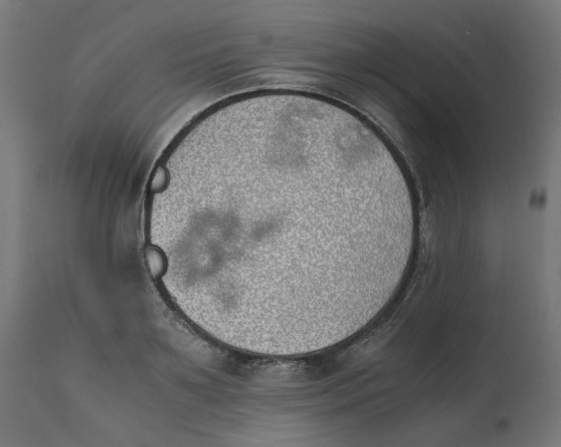 X0000111490891200907281224