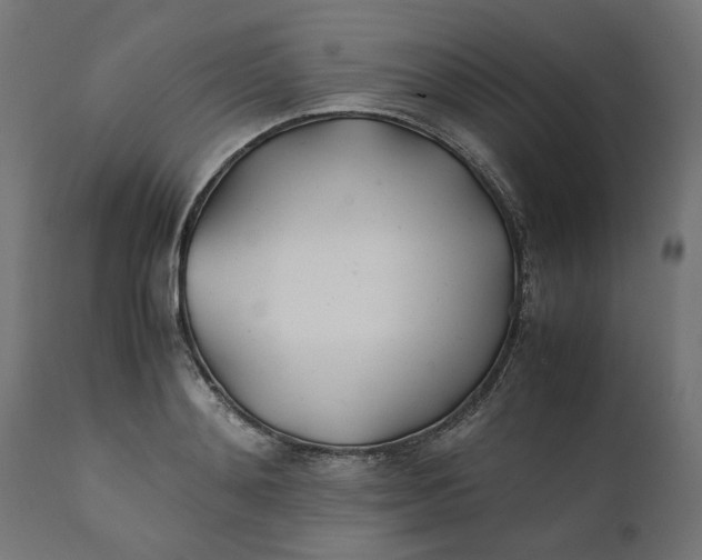 X0000111490892200907281224