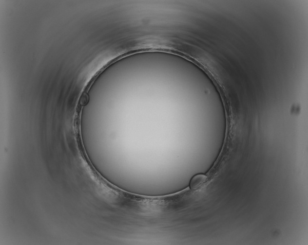 X0000111490893200907281224