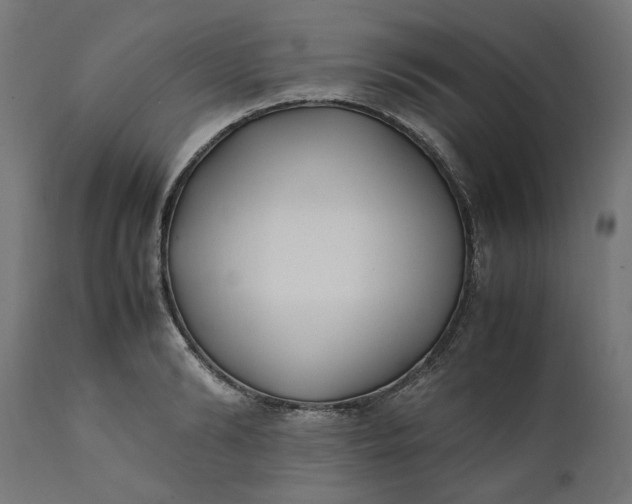 X0000111490894200907281224