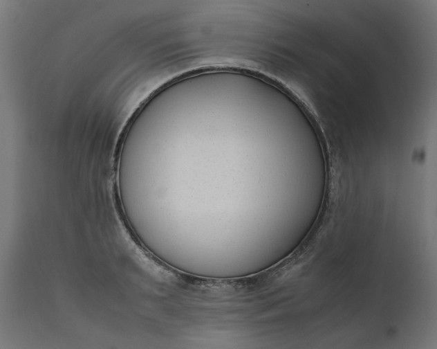 X0000111490895200907281224