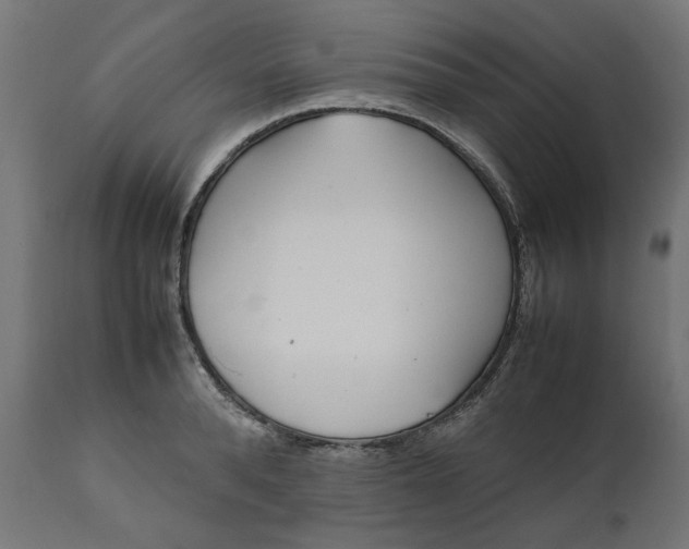 X0000111490896200907281224