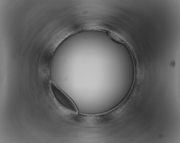 X0000111490897200907281224