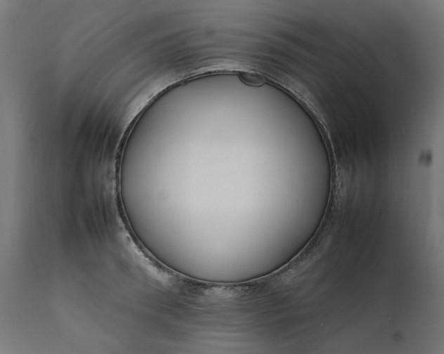 X0000111490898200907281224