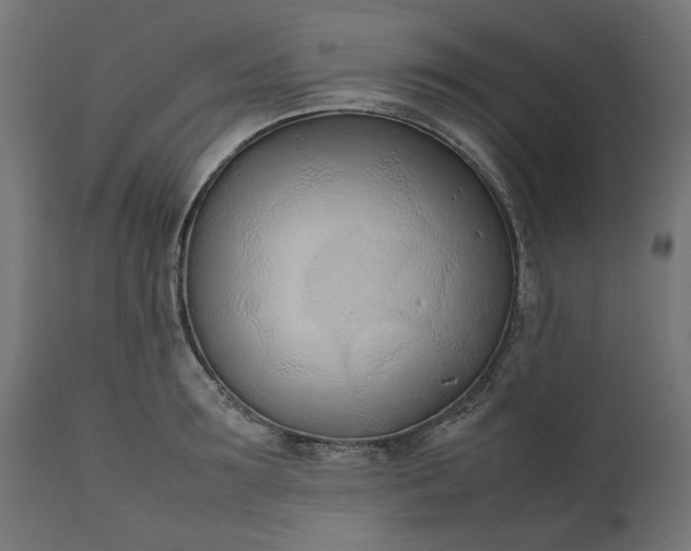 X0000111490899200907281224