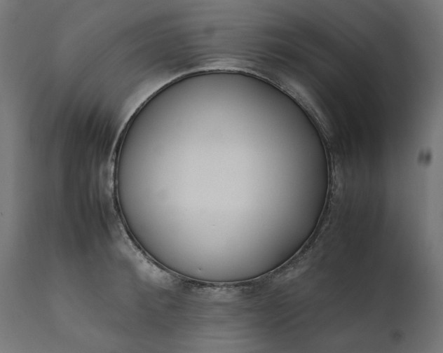 X0000111490900200907281224