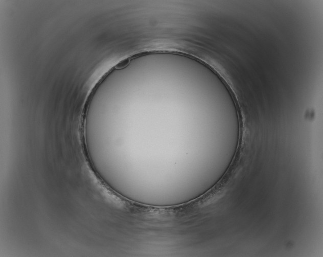 X0000111490901200907281224