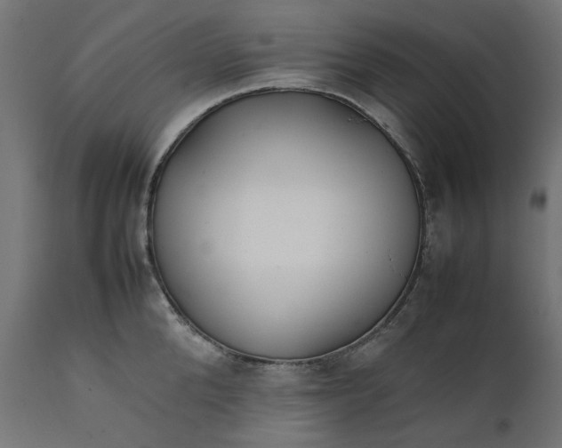 X0000111490904200907281224