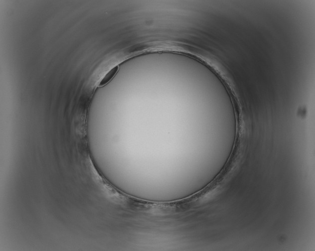 X0000111490905200907281224