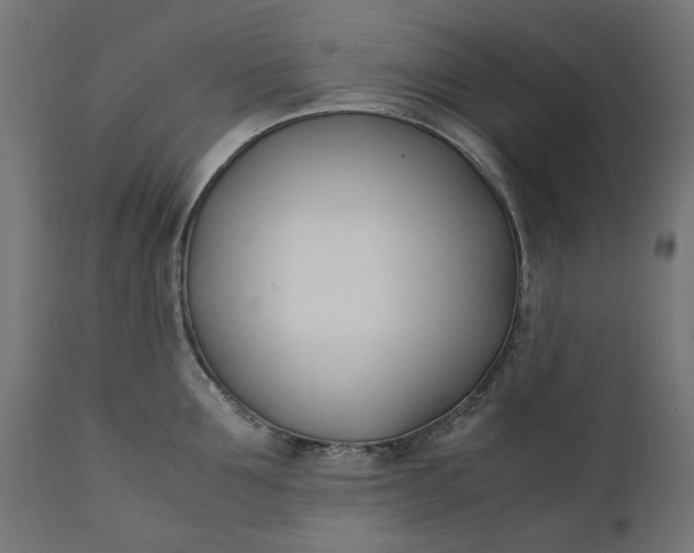 X0000111490907200907281224