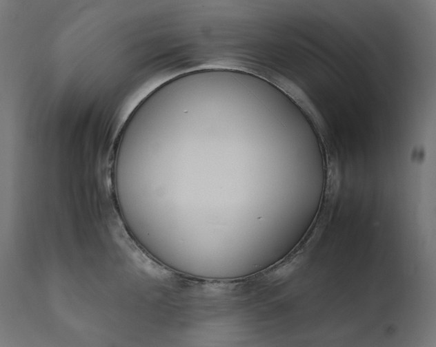 X0000111490908200907281224