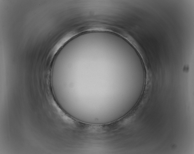 X0000111490909200907281224