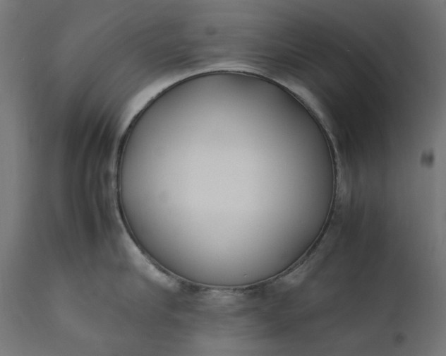 X0000111490910200907281224