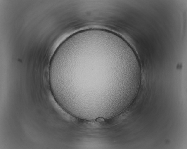 X0000111490911200907281224