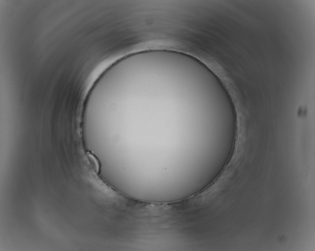 X0000111490912200907281224