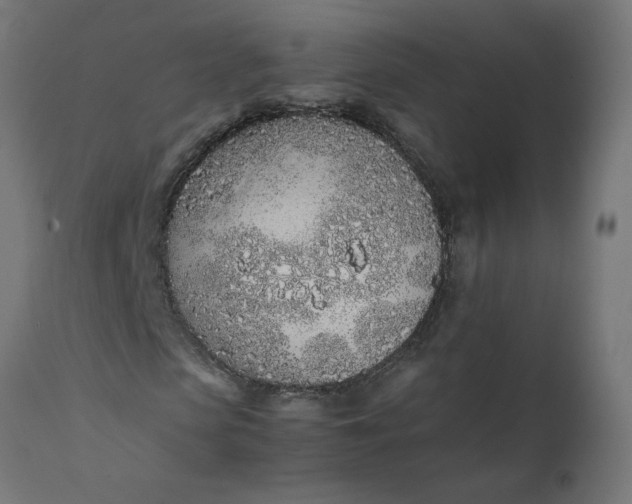 X0000111490913200907281223