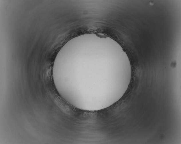 X0000111490914200907281223