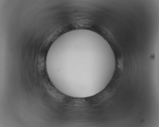 X0000111490915200907281223