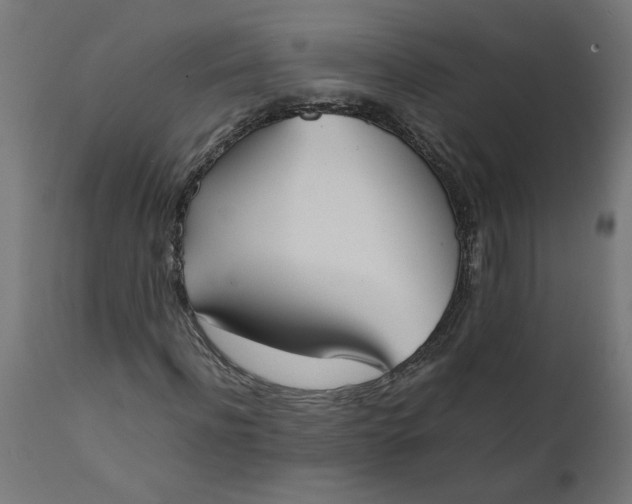 X0000111490916200907281223