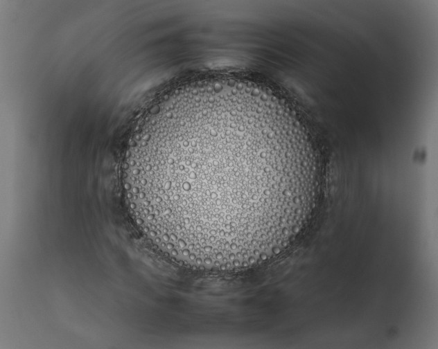 X0000111490917200907281223