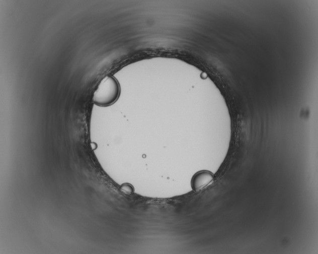 X0000111490918200907281223