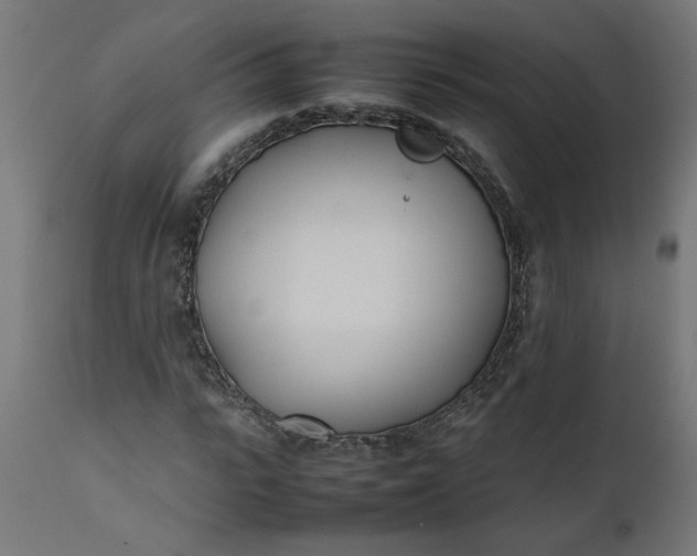 X0000111490919200907281223