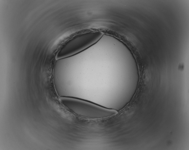 X0000111490920200907281223