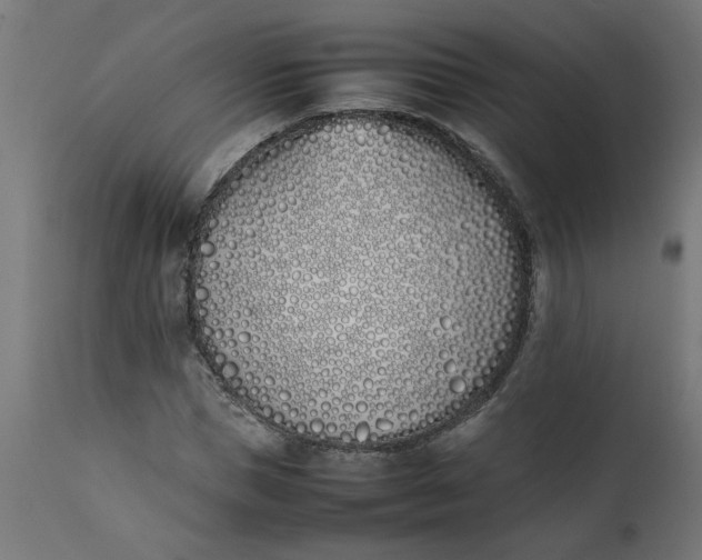 X0000111490921200907281223