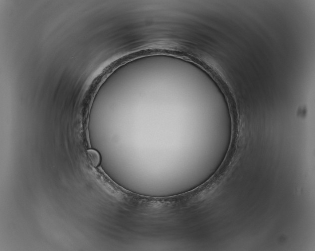 X0000111490923200907281223