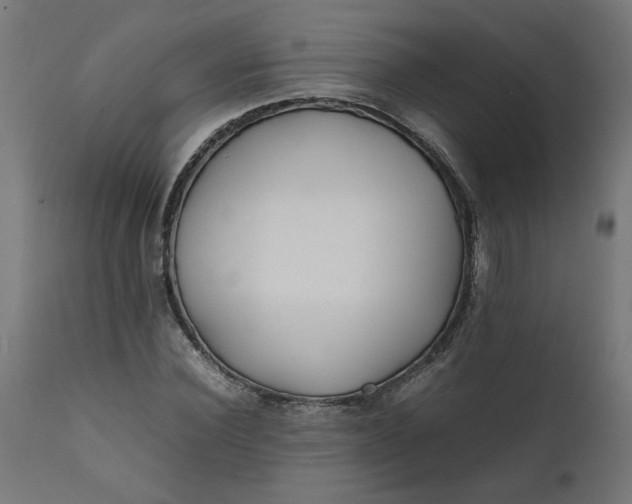 X0000111490924200907281223