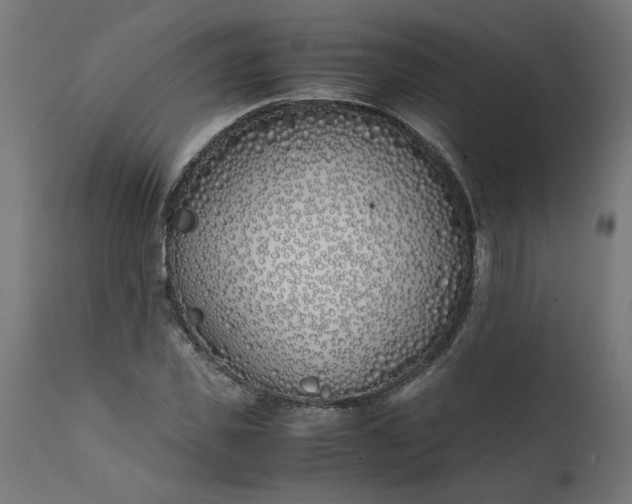 X0000111490925200907281223