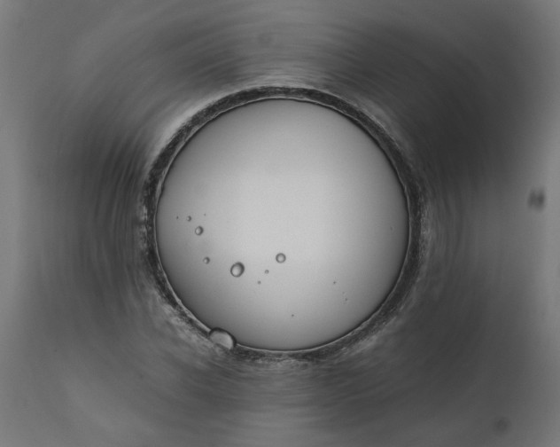 X0000111490926200907281223