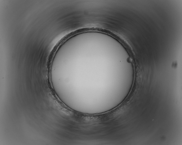 X0000111490927200907281223