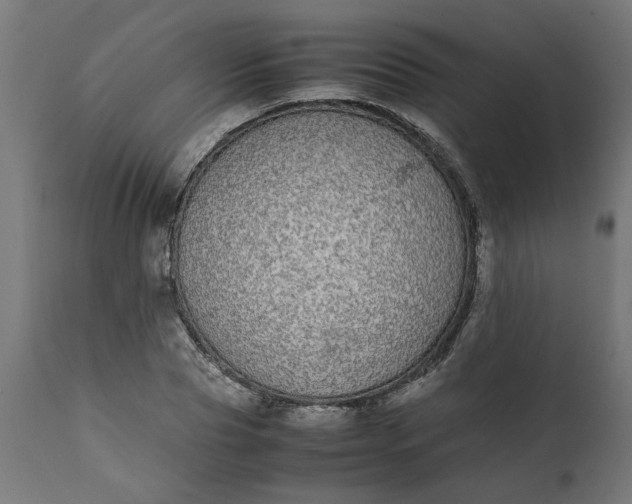 X0000111490929200907281223