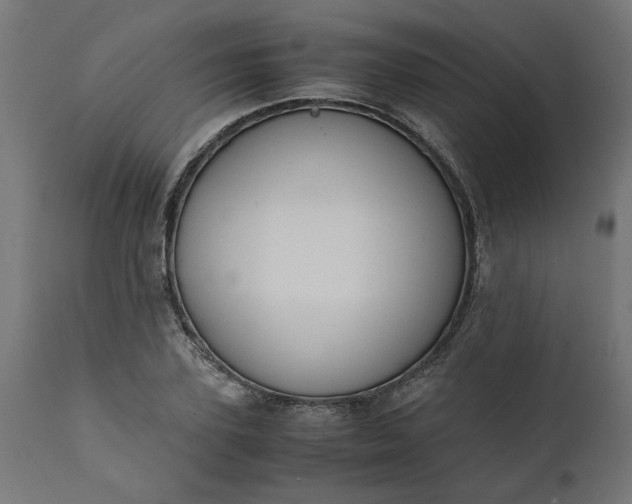 X0000111490931200907281223