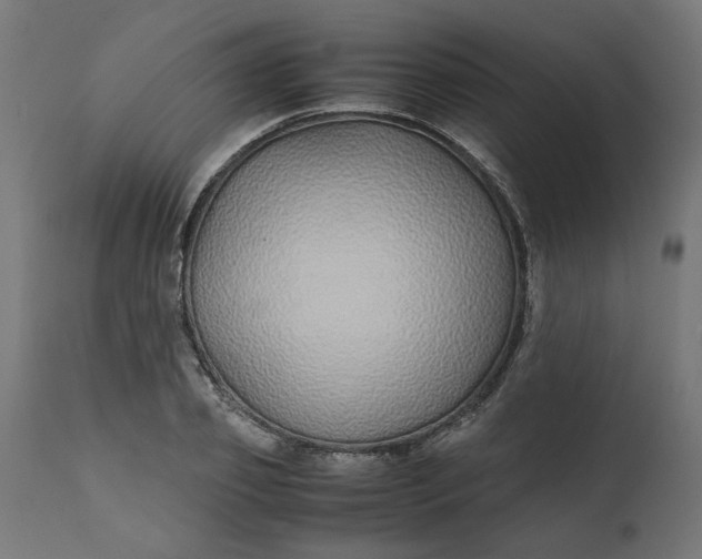 X0000111490933200907281223